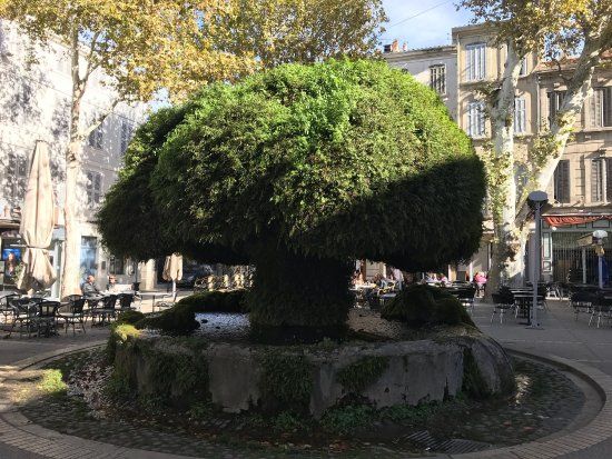 la Fontaine moussue