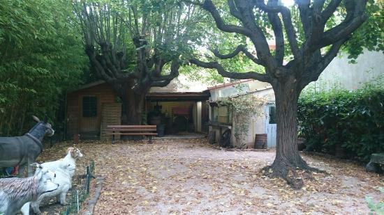 le musée d'histoire locale et des traditions