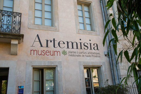 le musée d'Artemisia