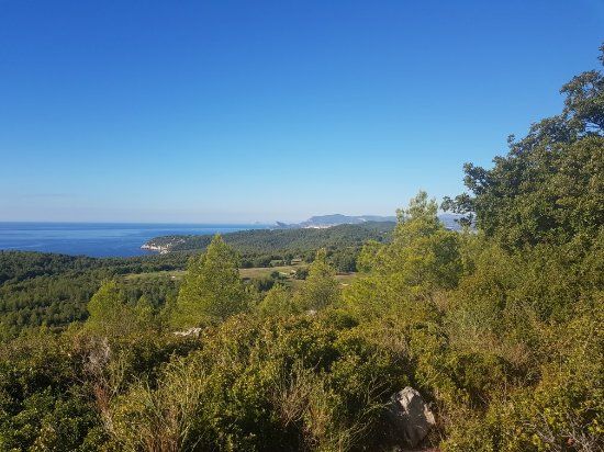 Foret de Roustagnon