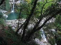 Cagne
