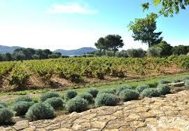 le Domaine Maubernard