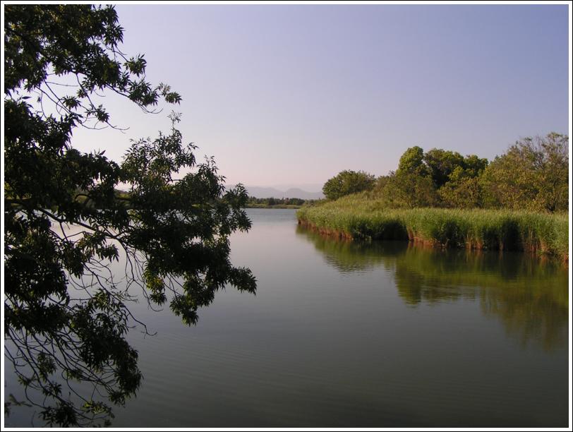 les Étangs de Villepey