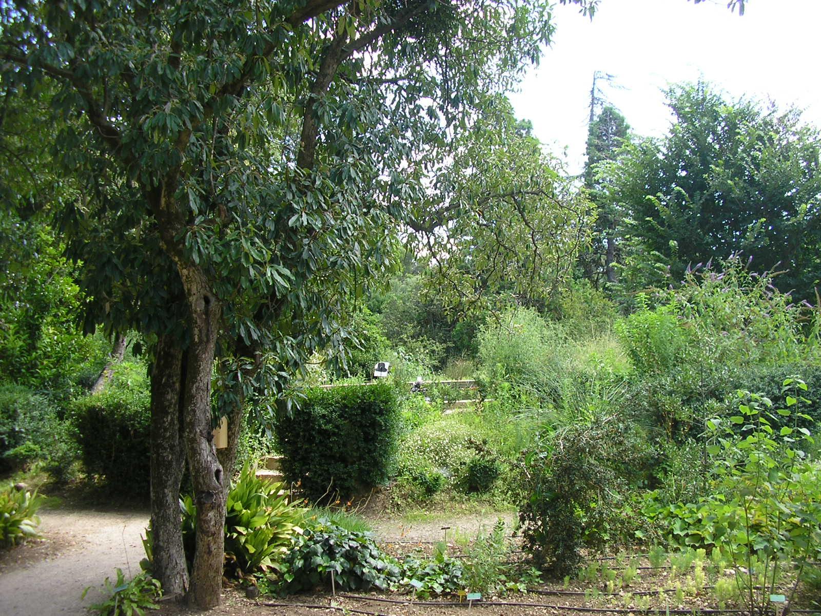 Maison natale et musée Jean-Henri Fabre