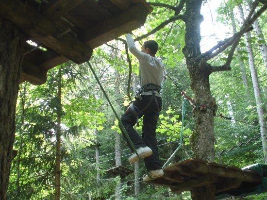 Activité ludique Jungle Laye