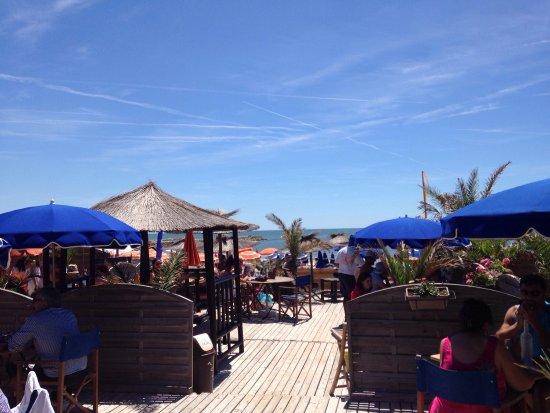 Bambou Palm Beach