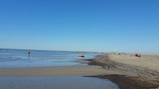 Plage de Beauduc