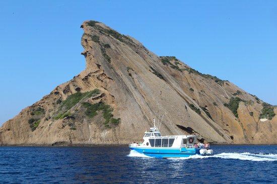 Visite des Calanques