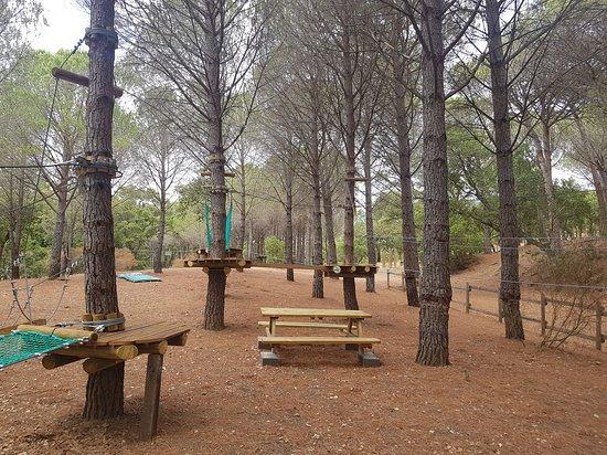 Arbre Et Aventure