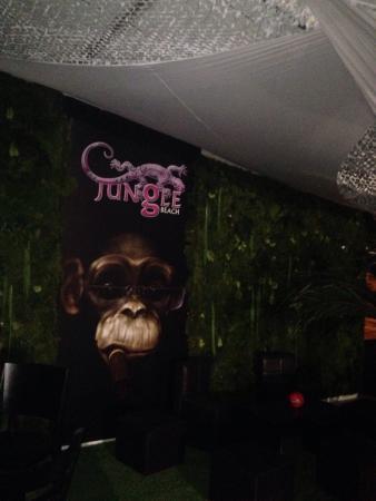 Jungle Beach