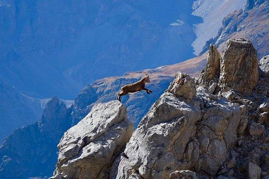 Les Evades des Cimes