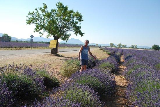 Best of Provence Tours