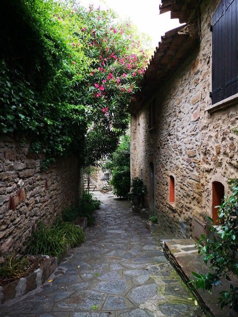 il Museo d'Arte e di Storia