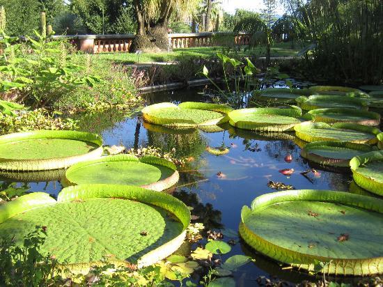 Jardin botanique Val Rahmeh-Menton